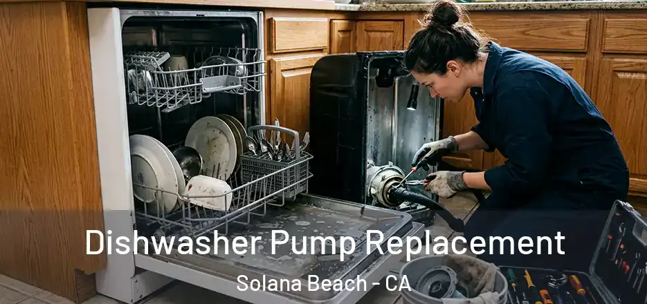  Dishwasher Pump Replacement Solana Beach - CA
