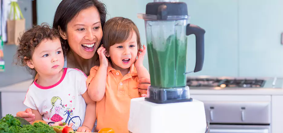 Juicer and Mixer Blender Repair in Solana Beach 
