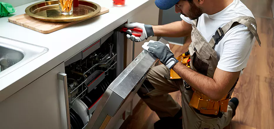 Same Day Dishwasher Not Draining Repair in Solana Beach