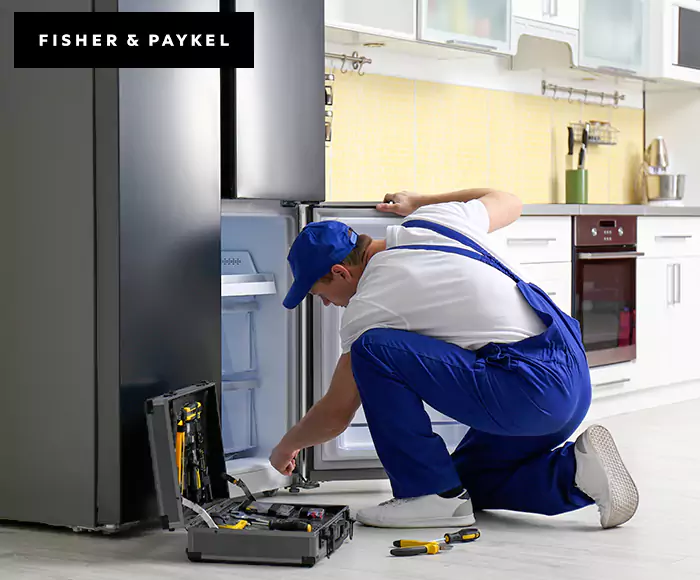 Top-Rated Fisher & Paykel Appliance Experts: Your Brand Specialist in Solana Beach, CA