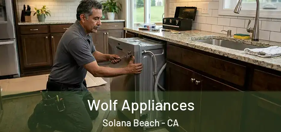 Wolf Appliances Solana Beach - CA